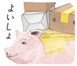 Farm animals enjoy all season events! sticker #3197466