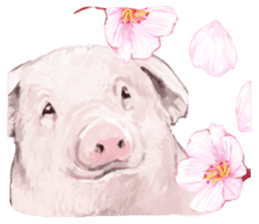 Farm animals enjoy all season events! sticker #3197467