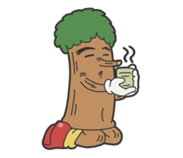 Funny wood "PACO" sticker #3197535