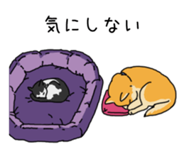 Anz the Japanese shiba dog sticker #3202182