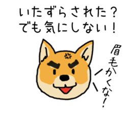 Anz the Japanese shiba dog sticker #3202186