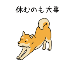 Anz the Japanese shiba dog sticker #3202189