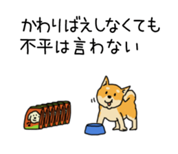 Anz the Japanese shiba dog sticker #3202200