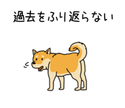 Anz the Japanese shiba dog sticker #3202206