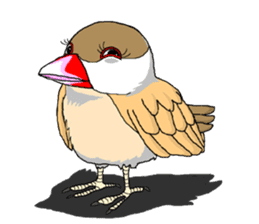 Pretty Piko sticker #3202602