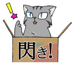 NYANDOKU ~Hardest KANJI Cat sticker #3202646