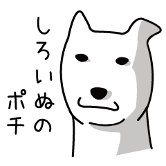 White dog Pochi