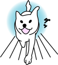 White dog Pochi sticker #3202829