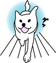 White dog Pochi sticker #3202829