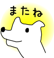 White dog Pochi sticker #3202847