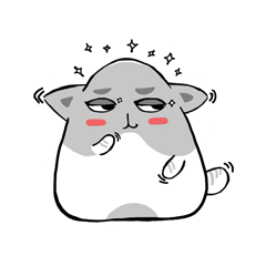 Cute cats Moya and Miyu