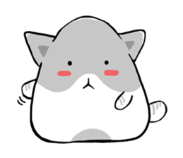 Cute cats Moya and Miyu sticker #3203651