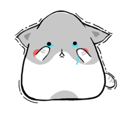 Cute cats Moya and Miyu sticker #3203659