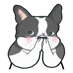 Frenchbulldog BUHIBUHI world