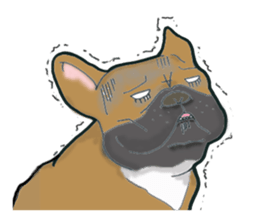 Frenchbulldog BUHIBUHI world sticker #3203945