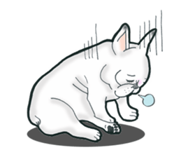 Frenchbulldog BUHIBUHI world sticker #3203955