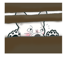 Frenchbulldog BUHIBUHI world sticker #3203961