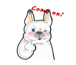 Frenchbulldog BUHIBUHI world sticker #3203964