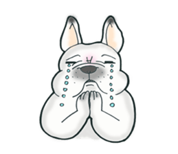 Frenchbulldog BUHIBUHI world sticker #3203969