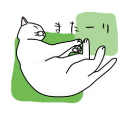 Nerd cat. sticker #3205057