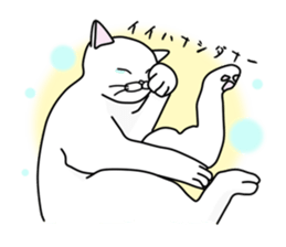 Nerd cat. sticker #3205087