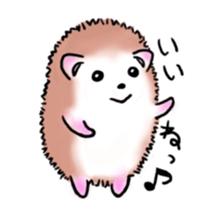 Otter & Hedgehog sticker #3205132