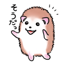 Otter & Hedgehog sticker #3205148