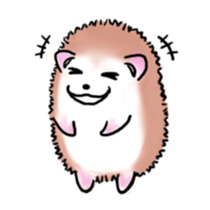 Otter & Hedgehog sticker #3205152