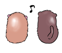 Otter & Hedgehog sticker #3205170