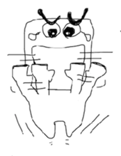 suma-bo sticker #3207137