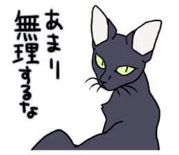 THE Cool Cats Sticker sticker #3211808