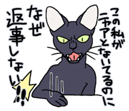 THE Cool Cats Sticker sticker #3211810