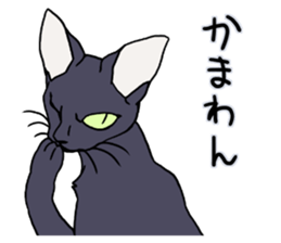 THE Cool Cats Sticker sticker #3211811