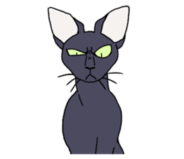 THE Cool Cats Sticker sticker #3211820