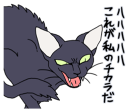 THE Cool Cats Sticker sticker #3211826