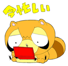 Maru of raccoon sticker #3212796