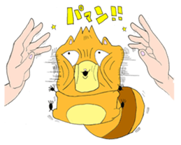 Maru of raccoon sticker #3212806