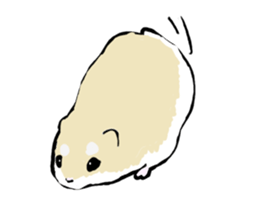 Roborovskii Hamster sticker #3214219