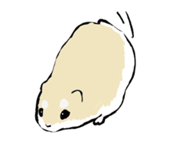 Roborovskii Hamster sticker #3214219