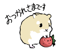 Roborovskii Hamster sticker #3214224