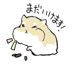 Roborovskii Hamster sticker #3214228