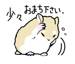 Roborovskii Hamster sticker #3214239