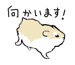 Roborovskii Hamster sticker #3214240