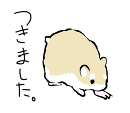 Roborovskii Hamster sticker #3214243