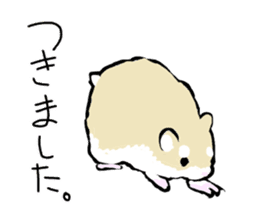 Roborovskii Hamster sticker #3214243