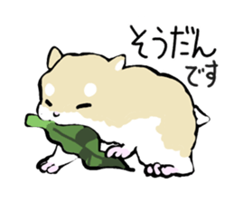 Roborovskii Hamster sticker #3214249