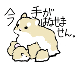 Roborovskii Hamster sticker #3214254