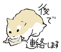 Roborovskii Hamster sticker #3214255