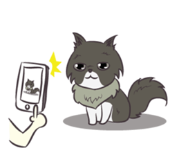 Browny Cat - Funny and Lucky Cat sticker #3217518