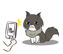 Browny Cat - Funny and Lucky Cat sticker #3217518